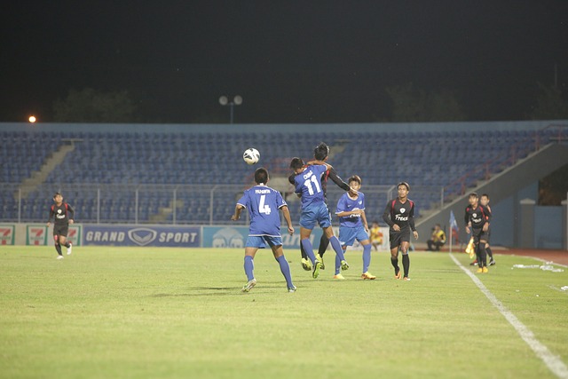 的拼搏精神 的拼搏精神