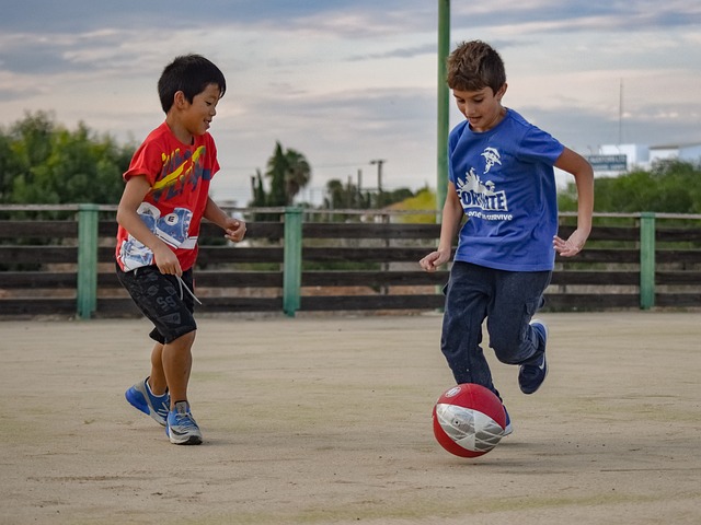 的乒乓球亚 的乒乓球亚