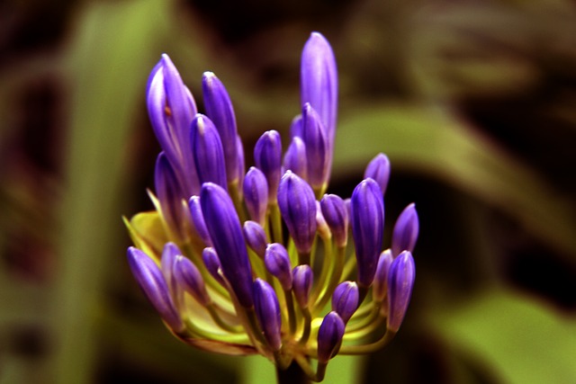 展現出的靈 展現出的靈