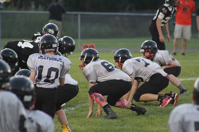 持久的巅峰 持久的巅峰