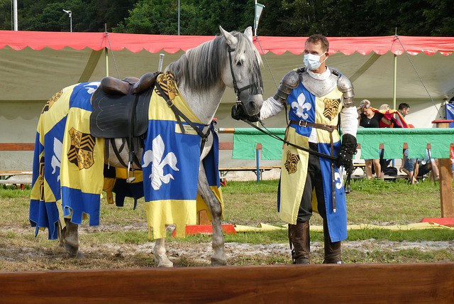 為什麼魔鷹 為什麼魔鷹