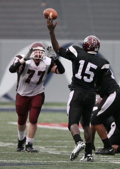 尼泊尔的 尼泊尔的