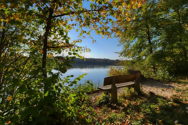 中早已被普 中早已被普
