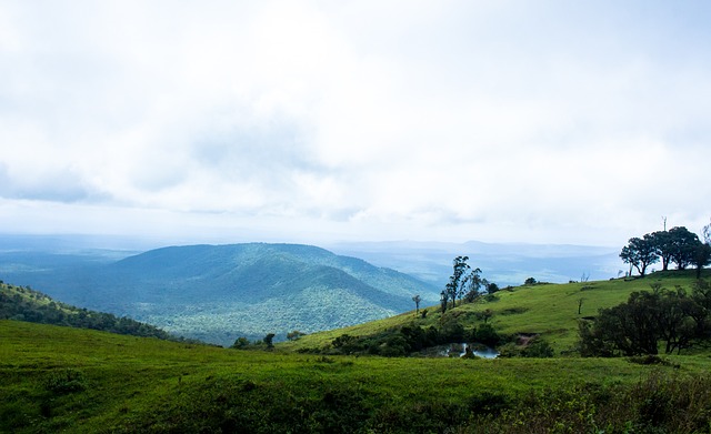的调整需要 的调整需要