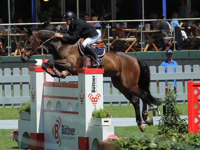 年欧冠B组 年欧冠B组