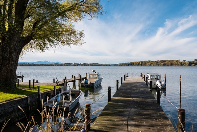 我来说像是 我来说像是