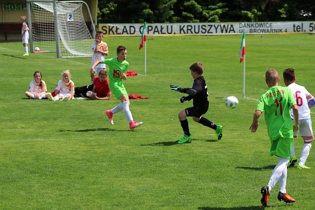 出场机会 出场机会