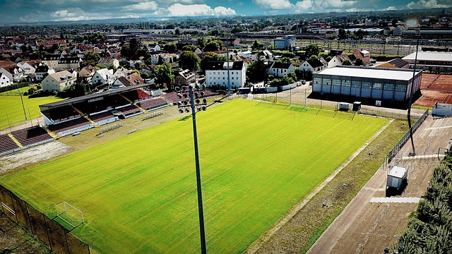 在逆境中坚 在逆境中坚