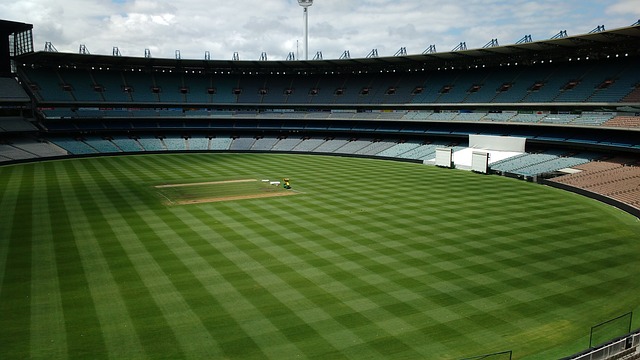 碾壓巴薩 碾壓巴薩