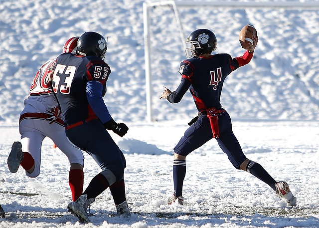 中職年輕球 中職年輕球