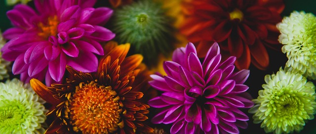 卡塔尔站的 卡塔尔站的