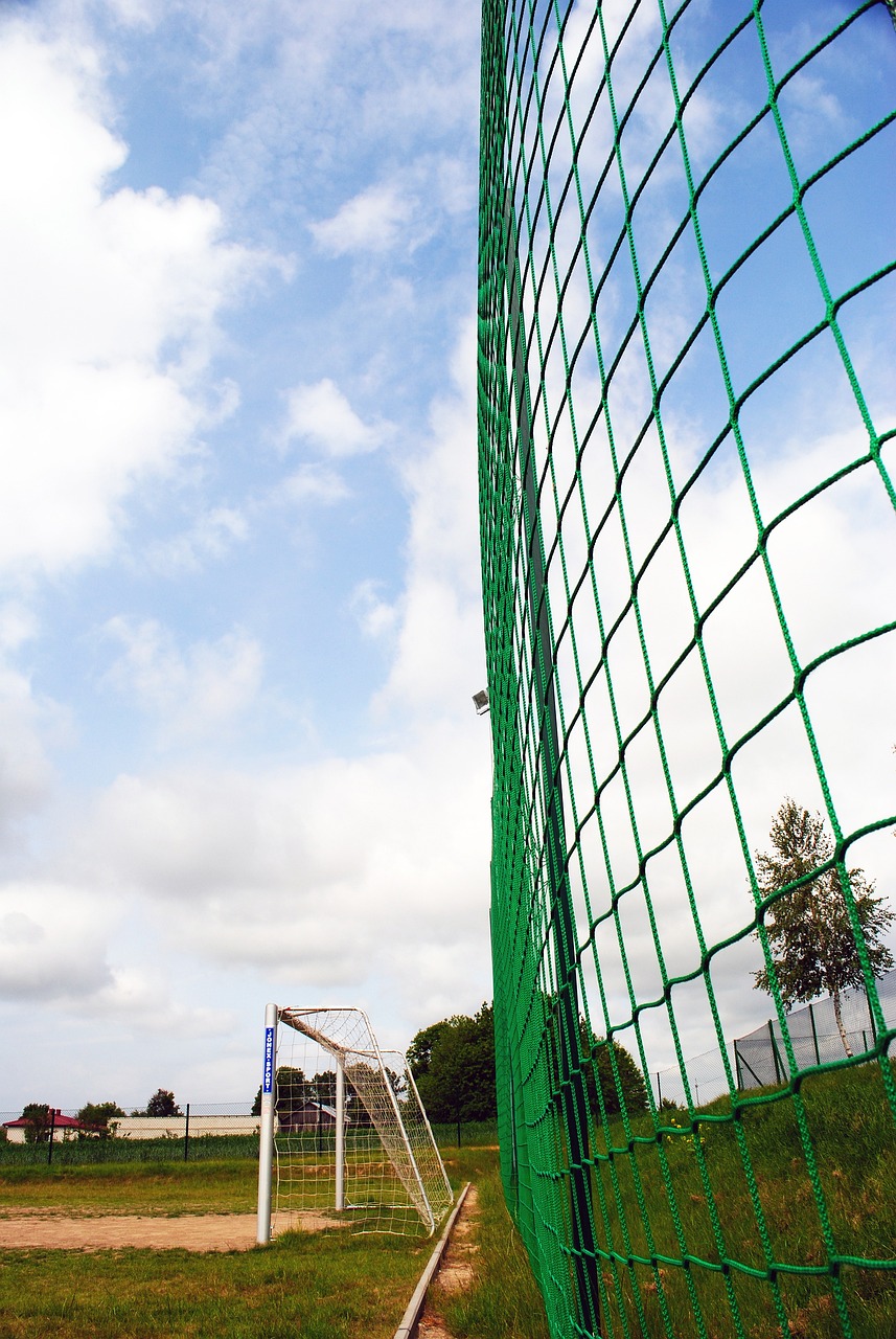 为了应对类 为了应对类